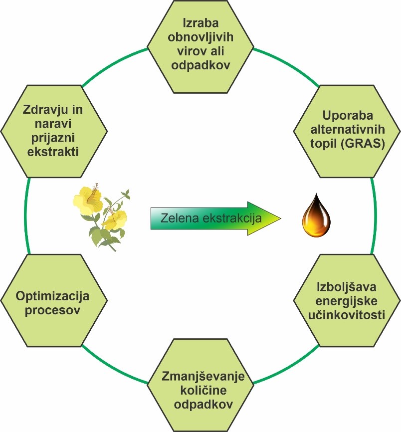 Šest načel zelene ekstrakcije